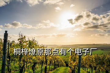 桐梓燎原那點(diǎn)有個電子廠