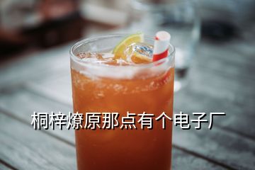 桐梓燎原那點(diǎn)有個電子廠