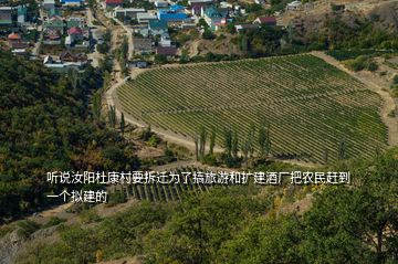 聽說汝陽杜康村要拆遷為了搞旅游和擴建酒廠把農民趕到一個擬建的