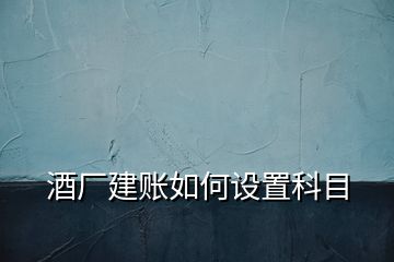 酒廠建賬如何設置科目