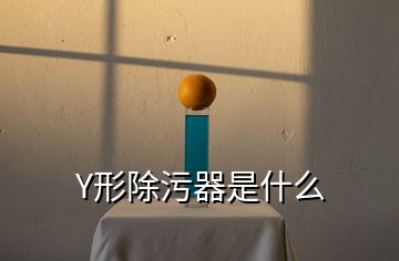 Y形除污器是什么