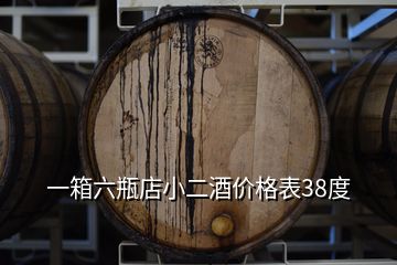 一箱六瓶店小二酒價格表38度