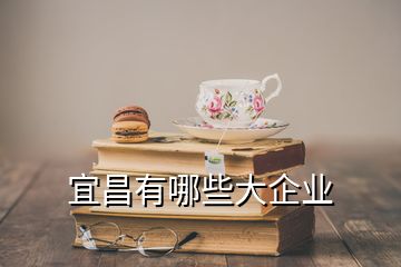 宜昌有哪些大企業(yè)