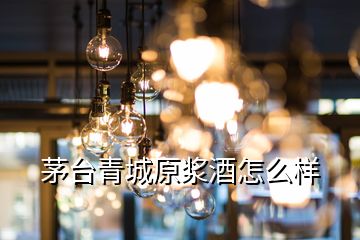 茅臺(tái)青城原漿酒怎么樣