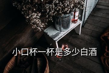 小口杯一杯是多少白酒