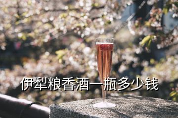 伊犁糧香酒一瓶多少錢