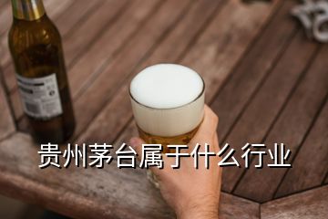 貴州茅臺(tái)屬于什么行業(yè)