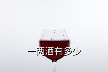 一兩酒有多少