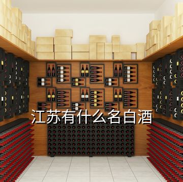 江蘇有什么名白酒