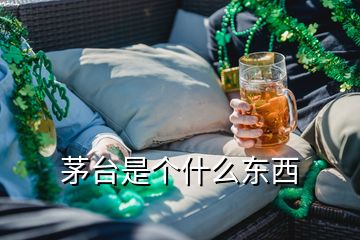 茅臺是個什么東西