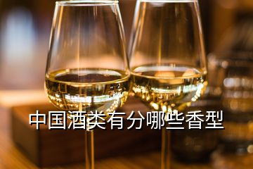 中國(guó)酒類(lèi)有分哪些香型