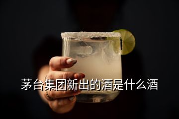 茅臺集團(tuán)新出的酒是什么酒