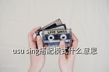 usu sing搭配模式什么意思