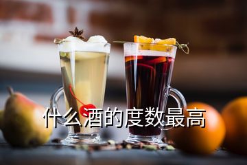 什么酒的度數(shù)最高