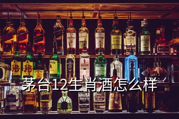 茅臺12生肖酒怎么樣