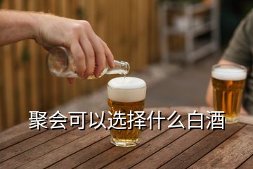 聚會可以選擇什么白酒