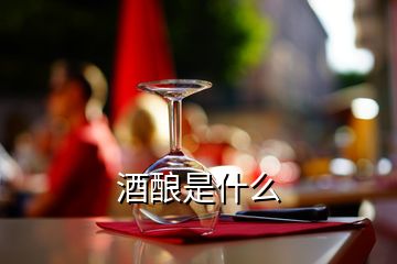 酒釀是什么