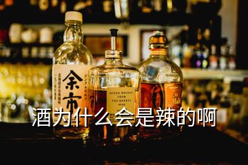 酒為什么會(huì)是辣的啊