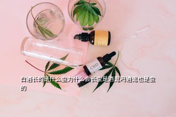 白酒長的是什么蟲為什么會長蟲是酒鬼嗎酒鬼也是蟲的