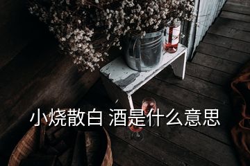 小燒散白 酒是什么意思