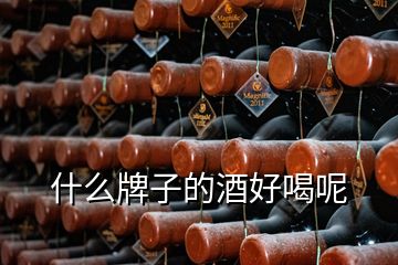 什么牌子的酒好喝呢