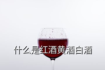 什么是紅酒黃酒白酒