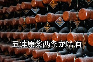 五蓮原漿兩條龍啥酒