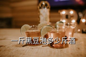 一斤黑豆泡多少斤酒