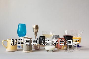 那里有真飛天茅臺(tái)酒買(mǎi)