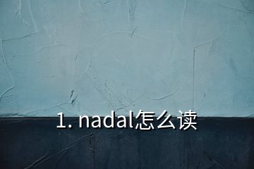 1. nadal怎么讀