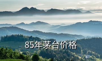 85年茅臺價格