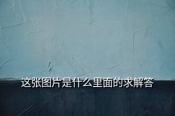 這張圖片是什么里面的求解答