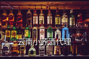 云南小蕎酒代理