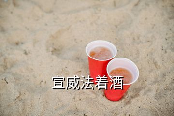 宣威法著酒