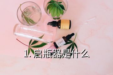 1. 啟瓶器是什么