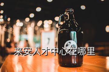 來安人才中心在哪里