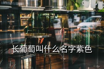 長(zhǎng)葡萄叫什么名字紫色