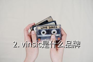 2. vinsic是什么品牌