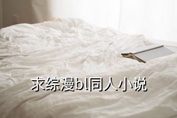 求綜漫bl同人小說