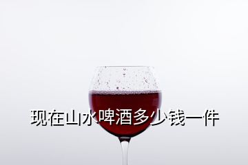 現(xiàn)在山水啤酒多少錢一件