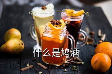 什么是鳩酒