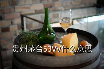 貴州茅臺53VV什么意思