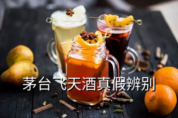 茅臺飛天酒真假辨別