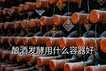 釀酒發(fā)酵用什么容器好