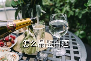 怎么品鑒白酒