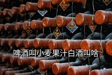 啤酒叫小麥果汁白酒叫啥