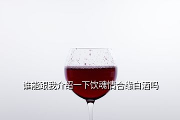 誰能跟我介紹一下飲魂情合緣白酒嗎