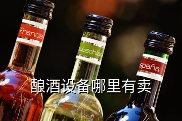 釀酒設(shè)備哪里有賣(mài)