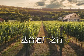 叢臺酒廠之行