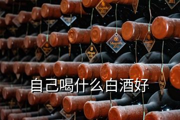 自己喝什么白酒好